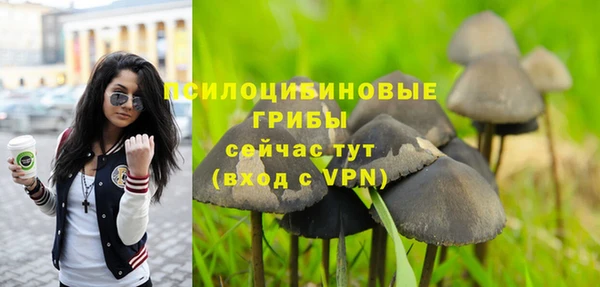 марихуана Медногорск