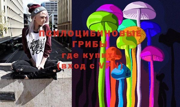 spice Мегион