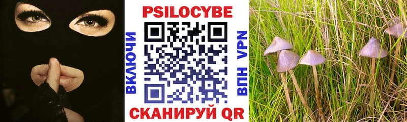 это состав  Разумное  Галлюциногенные грибы MAGIC MUSHROOMS 